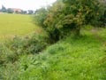 Teichbau_1_9