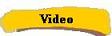 Teich__Video